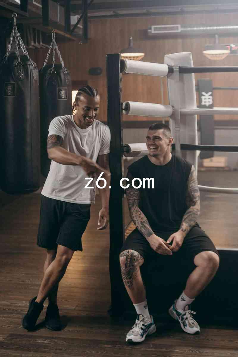 z6.com